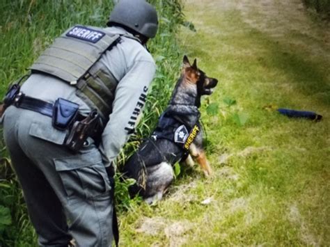 K9 Tactical Training Southern Police Canine Inc