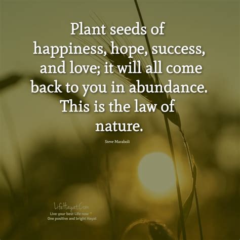 20 Planting Seeds Quotes For A Better Life Life Hayat