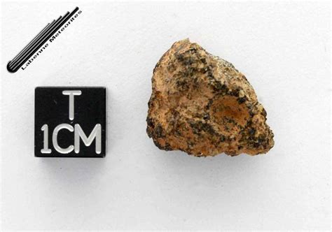 Angrite Meteorite Nwa 10463 Individual With Vesicle 498 G Catawiki