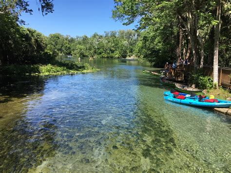 Visit Wekiwa Springs State Park In Florida Expedia