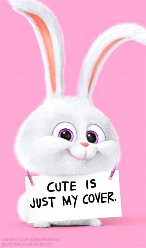 Cute Bunny Cartoon