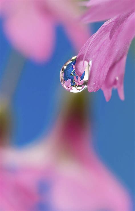 Water Droplets By Mei Xiang On 500px Water Drop Photography Water