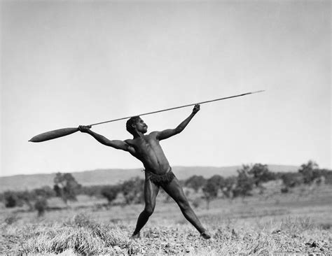 Spear Thrower Australian Aboriginals Aboriginal