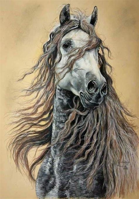Pin By Mercedes Yrayzoz On Equidae Horse Sketch Art Horse Painting