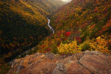 Expose Nature West Virginia Fall Colors Near Blackwater Falls State