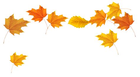 Autumn Leaves Clipart Transparent Background Clip Art Library