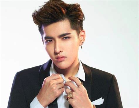 The Reason Why Kris Wu Left Exo And Sm Entertainment Hype My