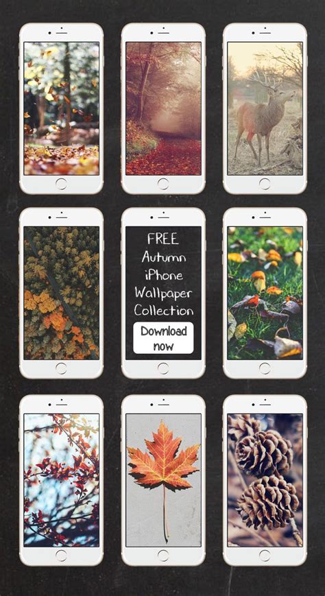 8 Free Autumn Inspired Iphone 7 Plus Wallpapers Preppy Wallpapers