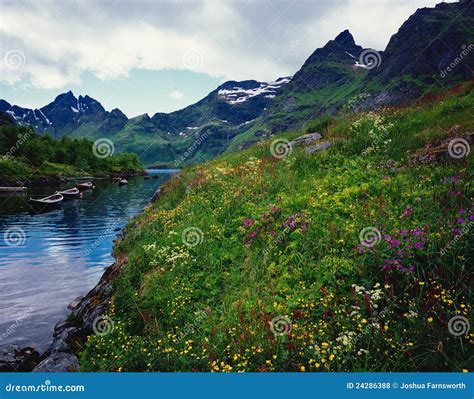 Norway Mountain Lake With Boats Stock Photo Image Of Ocean Flowers