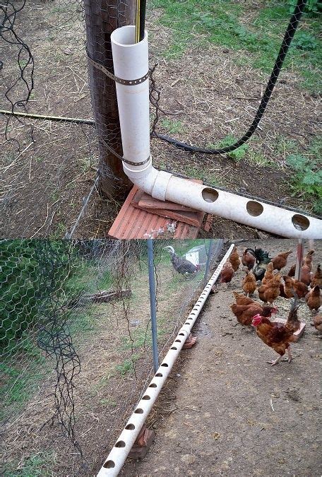 How to make 3 different chicken feeders with pvci am always looking to find a cheaper way to take care of my chickens. PVC chicken waterer | Abreuvoir de poulet, Élever des ...