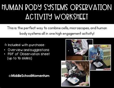 Human Biology Systems Microscope Observation Activity Human Body