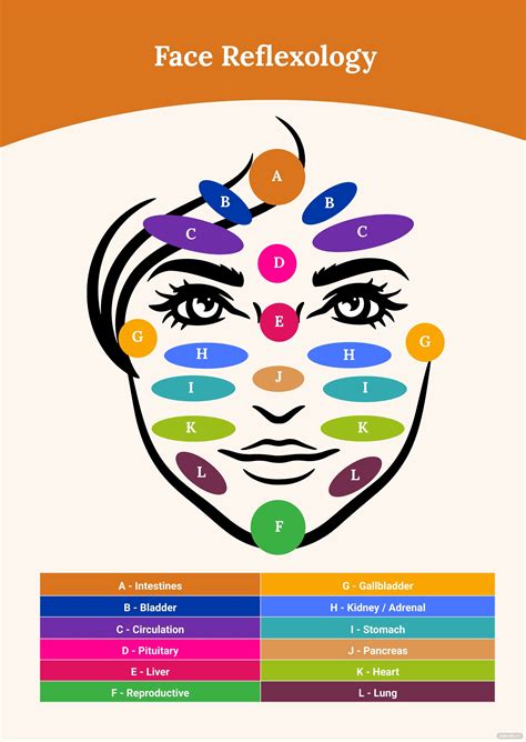 Face Reflexology Chart In Illustrator Pdf Download