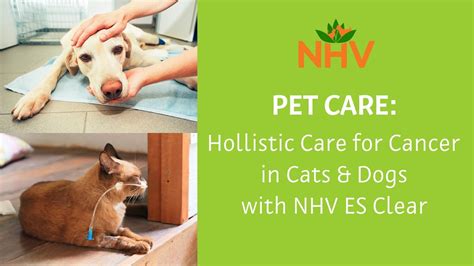 Pet Care Holistic Care For Cancer In Cats And Dogs With Nhv Es Clear