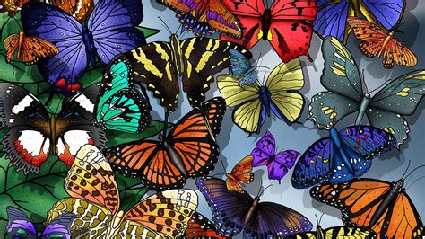 Find the best butterfly backgrounds on getwallpapers. Butterfly Desktop Backgrounds | 2021 Live Wallpaper HD