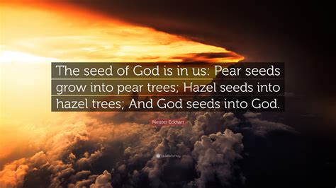 Meister Eckhart Quote “the Seed Of God Is In Us Pear Seeds Grow Into