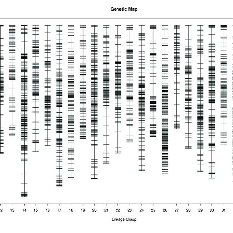 High Density Linkage Sex Average Map For Litopenaeus Vannamei Download Scientific Diagram