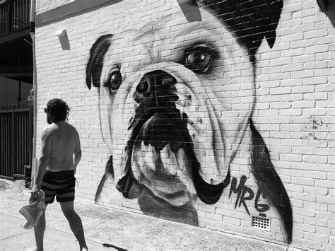 fotos gratis en blanco y negro la carretera calle monocromo pintada arte callejero