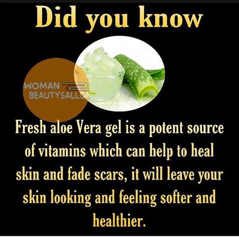 Fresh Aloe Vera Aloe Vera Gel Skin Healing Did You Know Knowing You