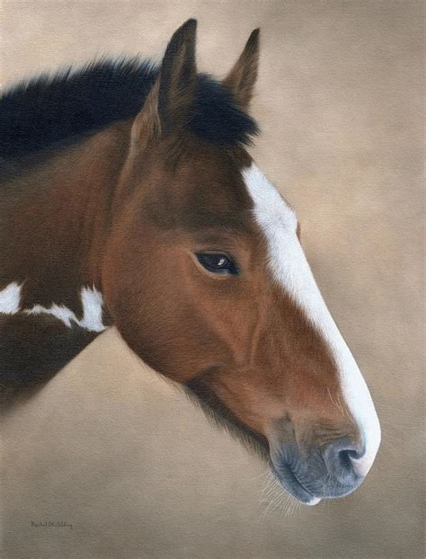 Horse Portrait Painting Painting By Rachel Stribbling Fine Art America