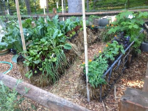 Benefits Of Straw Bale Gardening Hacks And How To