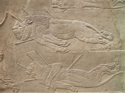 Filethe Royal Lion Hunt Reliefs From The Assyrian Palace At Nineveh