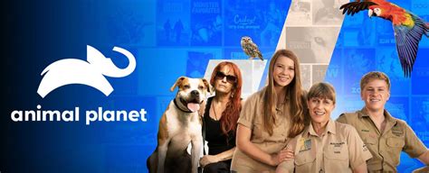 What To Watch On Animal Planet National Broadband
