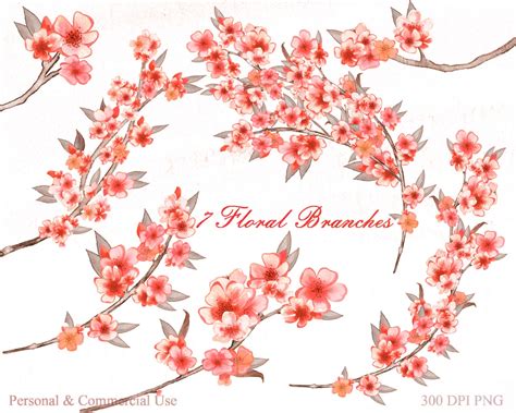 Peach Watercolor Flowers Clipart Commercial Use Clip Art