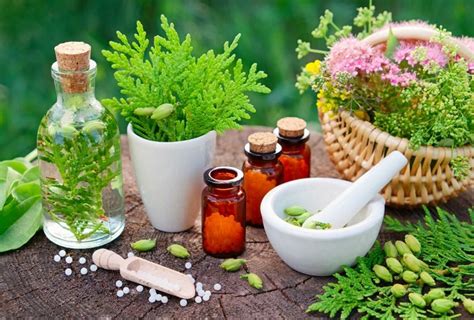 Introduction To Homeopathy Part 01