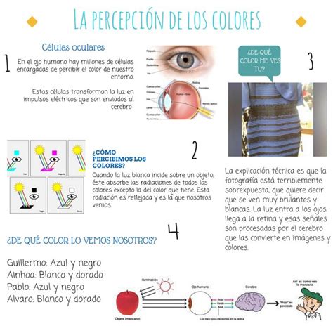 Como Percibe Los Colores El Ojo Humano Consejos Ojos