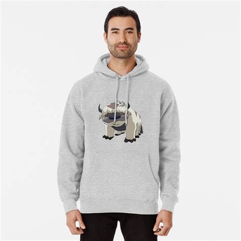 Appa With Beadhead Avatar Pullover Hoodie By Blueeyes374 Redbubble