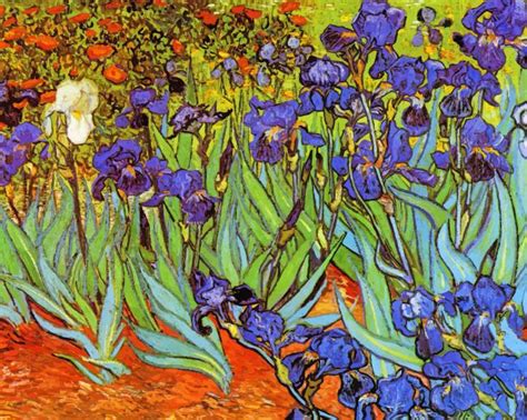 Irises Vincent Van Gogh New Paint By Numbers Paint By Numbers For Adult