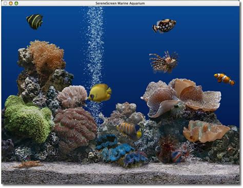 Serenescreen Marine Aquarium لنظام Mac تنزيل