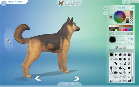 The Sims 4 Cats And Dogs Review Whats New Our Thoughts And More