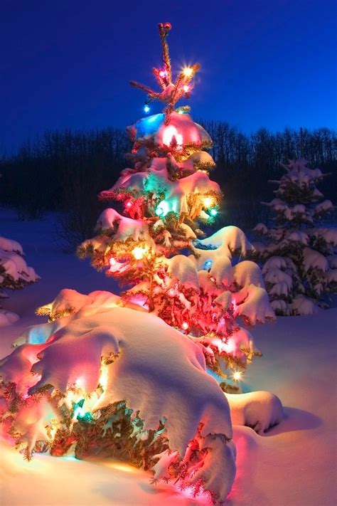 We have christmas photos that look perfect for any device or desktop. Cool Christmas Tree Iphone Hd Wallpaper, Christmas ...