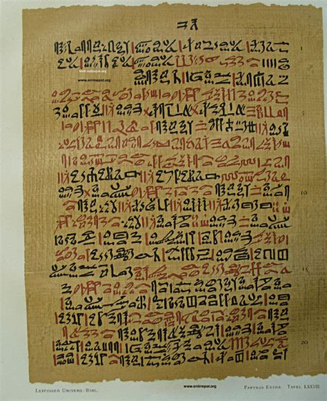Ebers Papyrus Treatment Of Cancer Download Scientific Diagram