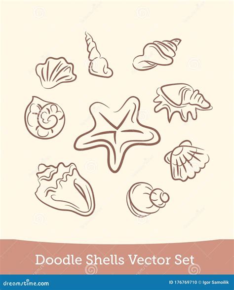 Doodle Shell Set Isolated On White Background Vector Stock Vector