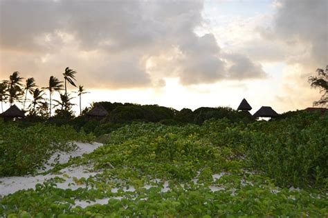 Watamu Beach Cottages Pool Pictures And Reviews Tripadvisor