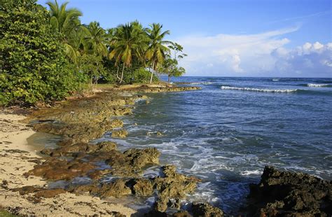 Dominican Republic Travel Guide Expert Picks For Your Vacation