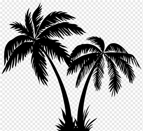 Silhueta Arecaceae Palms Silhouette Folha Fotografia Monocromático Png Pngwing