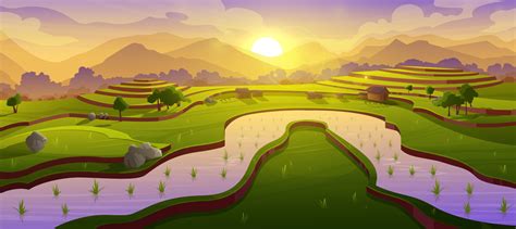 Asian Rice Field Terraces At Morning Landscape 13834707 Vector Art At