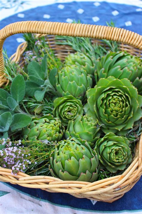 Rooted In Thyme ~harvesting Artichokes In The Garden And Simple