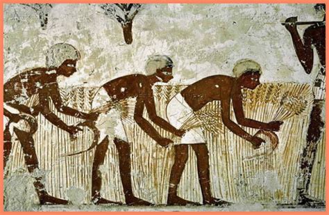 agriculture in ancient egypt food recipes