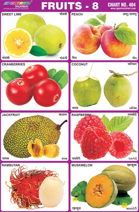 Spectrum Educational Charts Chart 404 Fruits 8