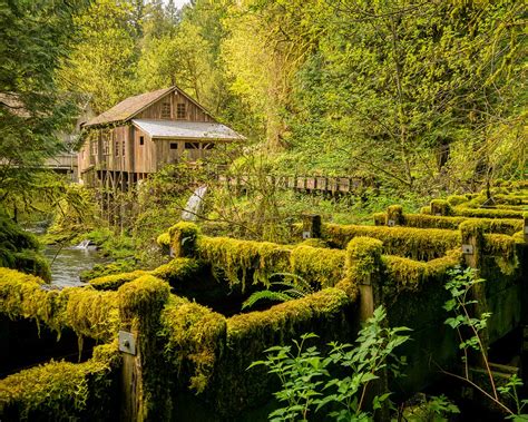 River Bridge And House In The Green Forest