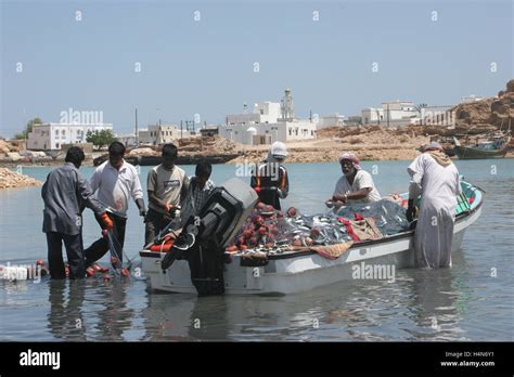 Descargando Esquife Fotografías E Imágenes De Alta Resolución Alamy