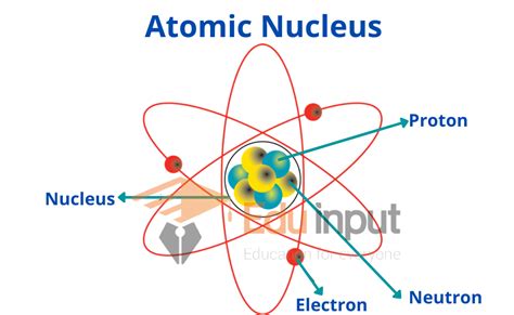 Atomic Nucleus Nucleons Charge Number And Mass Number