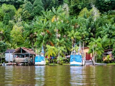 45 lieux à visiter en Guyane Que voir Que faire Carte touristique