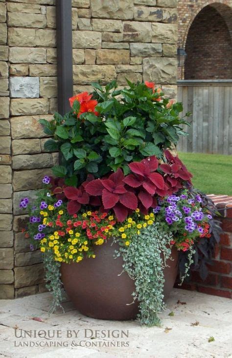 900 Perfect Containers Ideas Container Gardening Garden Containers