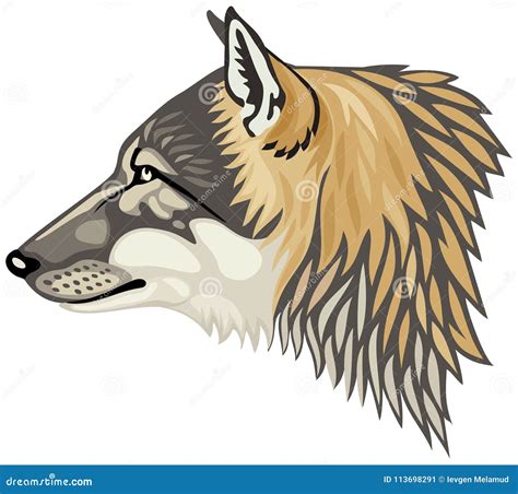 Timber Wolf Stock Illustrations 422 Timber Wolf Stock Illustrations