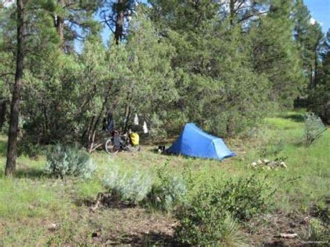 The rules for dispersed camping are pretty similar for all national forests in the us. BicycleHobo.com — Dispersed Camping